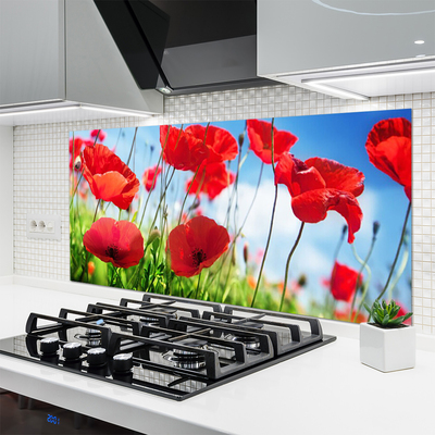 Kitchen Splashback Poppy grass nature red green