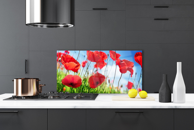 Kitchen Splashback Poppy grass nature red green