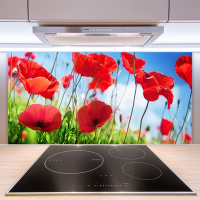 Kitchen Splashback Poppy grass nature red green