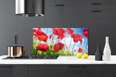 Kitchen Splashback Poppy grass nature red green