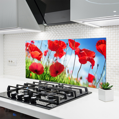 Kitchen Splashback Poppy grass nature red green