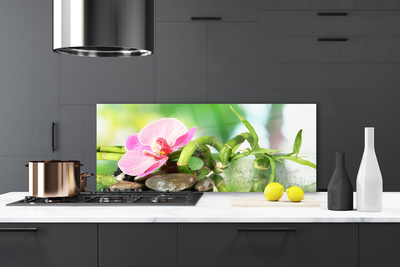 Kitchen Splashback Bamboo stalk flower stones nature green pink grey