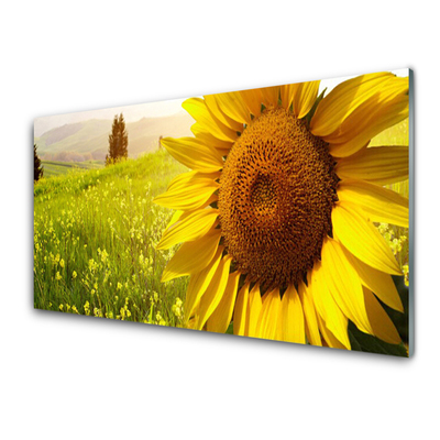 Kitchen Splashback Sunflower floral yellow brown