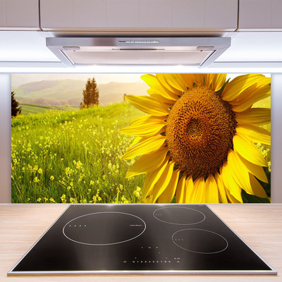 Kitchen Splashback Sunflower floral yellow brown