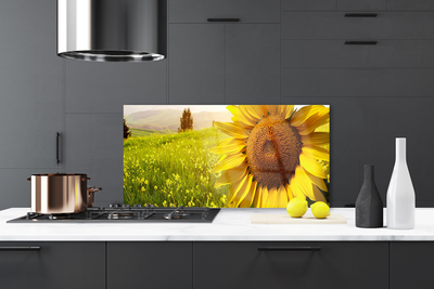 Kitchen Splashback Sunflower floral yellow brown