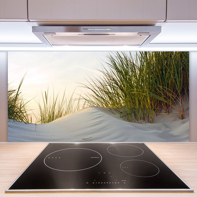 Kitchen Splashback Sand grass landscape grey green