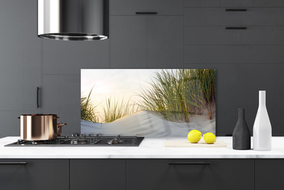 Kitchen Splashback Sand grass landscape grey green