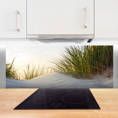 Kitchen Splashback Sand grass landscape grey green