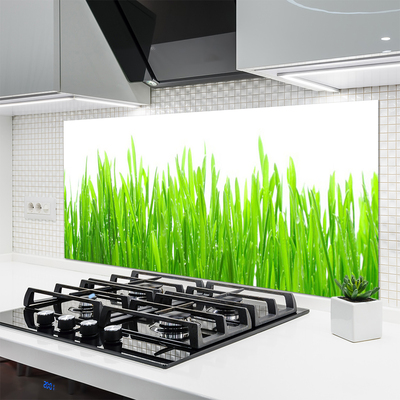 Kitchen Splashback Grass nature green