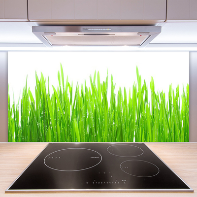 Kitchen Splashback Grass nature green