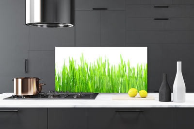 Kitchen Splashback Grass nature green