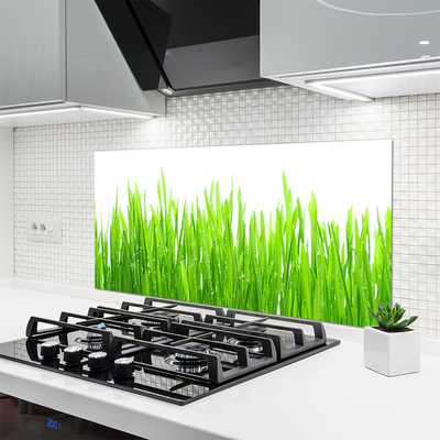 Kitchen Splashback Grass nature green