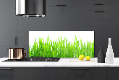 Kitchen Splashback Grass nature green