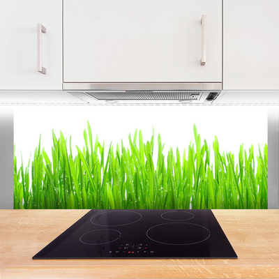 Kitchen Splashback Grass nature green