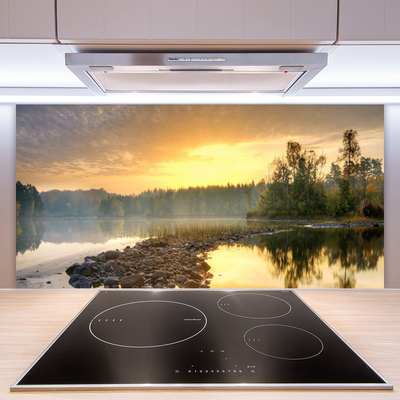 Kitchen Splashback Lake stones forest landscape grey green white yellow