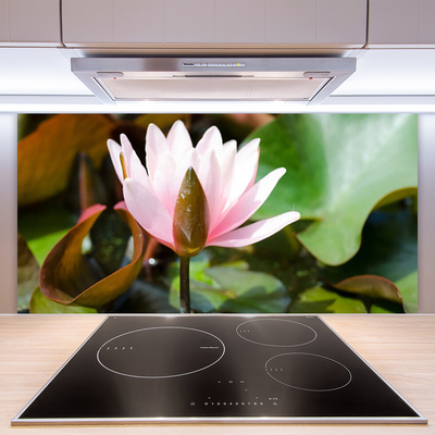 Kitchen Splashback Flower floral pink