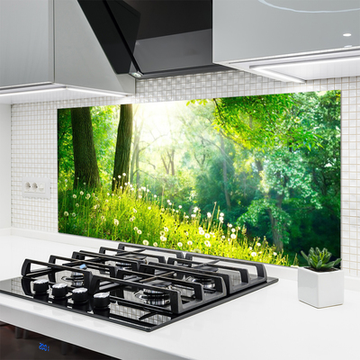 Kitchen Splashback Meadow nature green