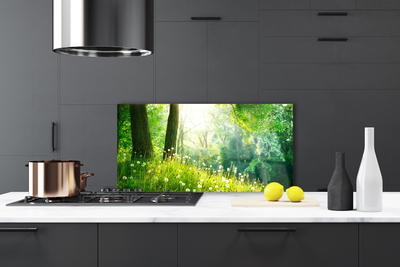 Kitchen Splashback Meadow nature green