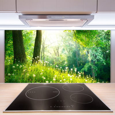 Kitchen Splashback Meadow nature green