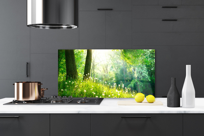 Kitchen Splashback Meadow nature green