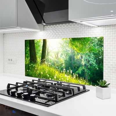 Kitchen Splashback Meadow nature green