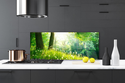 Kitchen Splashback Meadow nature green