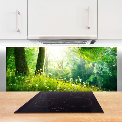 Kitchen Splashback Meadow nature green