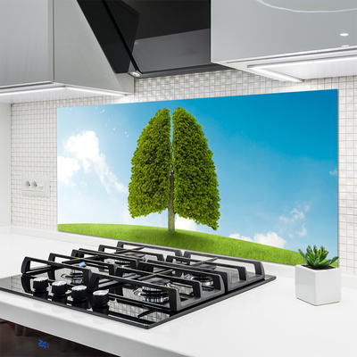 Kitchen Splashback Grass tree nature green