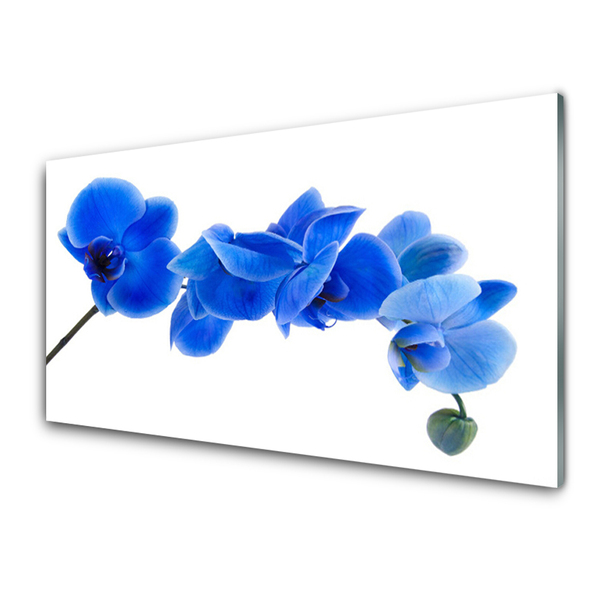 Kitchen Splashback Flower floral blue