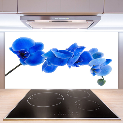 Kitchen Splashback Flower floral blue