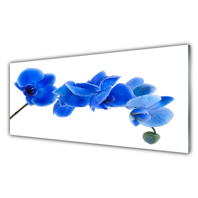 Kitchen Splashback Flower floral blue