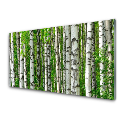 Kitchen Splashback Forest nature black white green