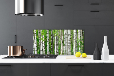 Kitchen Splashback Forest nature black white green