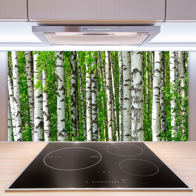 Kitchen Splashback Forest nature black white green