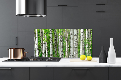 Kitchen Splashback Forest nature black white green