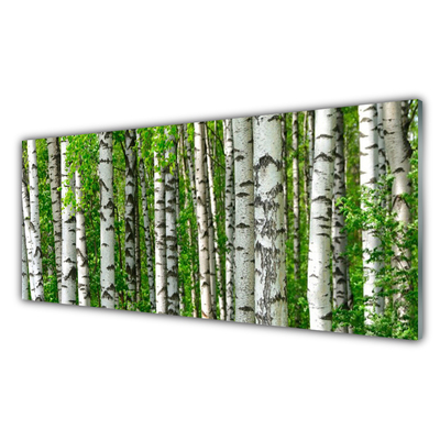 Kitchen Splashback Forest nature black white green