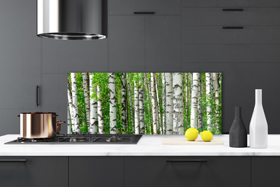 Kitchen Splashback Forest nature black white green