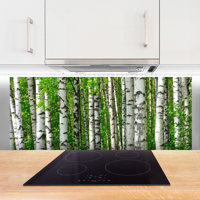 Kitchen Splashback Forest nature black white green