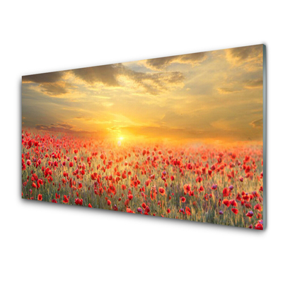 Kitchen Splashback Sun meadow poppy flowers nature yellow red green