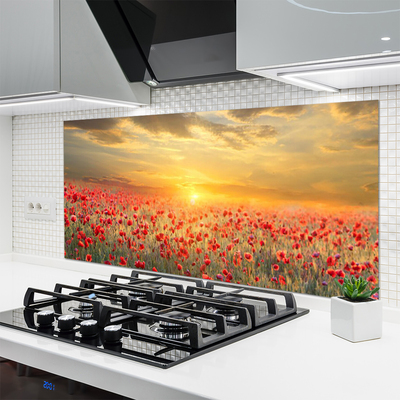 Kitchen Splashback Sun meadow poppy flowers nature yellow red green