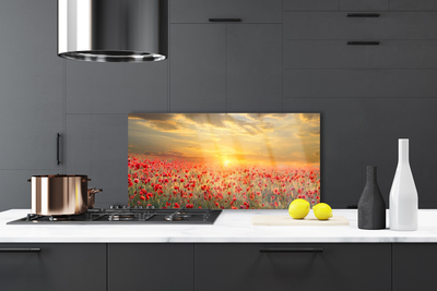 Kitchen Splashback Sun meadow poppy flowers nature yellow red green