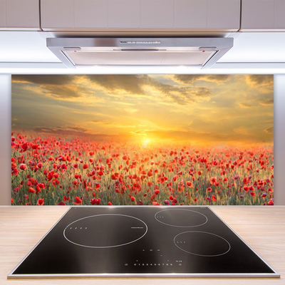 Kitchen Splashback Sun meadow poppy flowers nature yellow red green