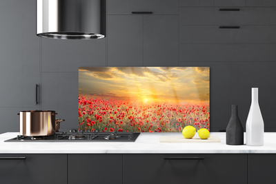 Kitchen Splashback Sun meadow poppy flowers nature yellow red green