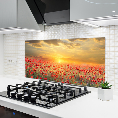 Kitchen Splashback Sun meadow poppy flowers nature yellow red green