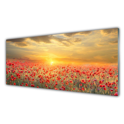 Kitchen Splashback Sun meadow poppy flowers nature yellow red green