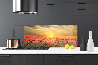 Kitchen Splashback Sun meadow poppy flowers nature yellow red green