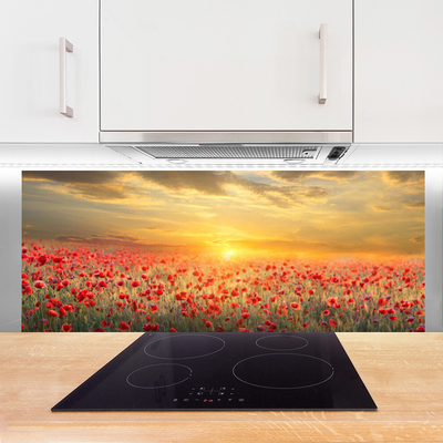 Kitchen Splashback Sun meadow poppy flowers nature yellow red green