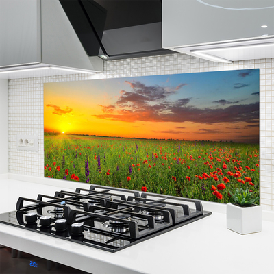 Kitchen Splashback Sun meadow flowers nature yellow green red purple