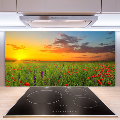 Kitchen Splashback Sun meadow flowers nature yellow green red purple