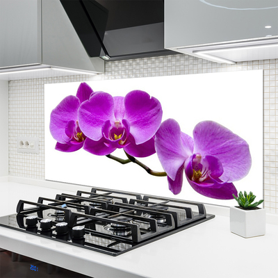 Kitchen Splashback Flowers floral pink